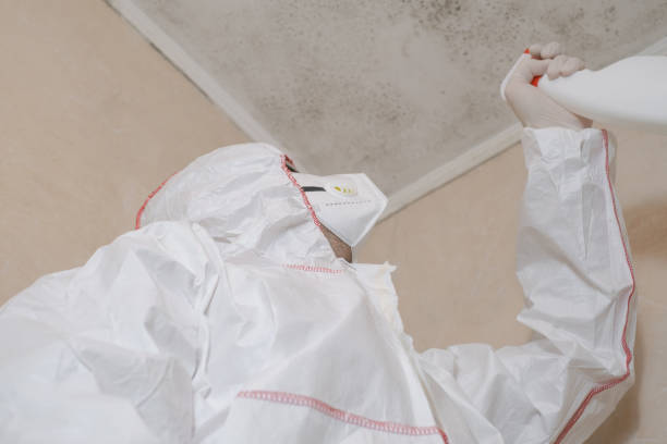 Mold Remediation for Vacation Homes in Pretty Bayou, FL